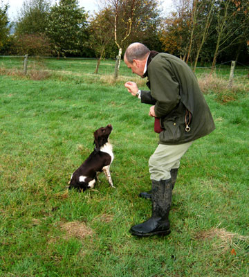 James McKay dog training